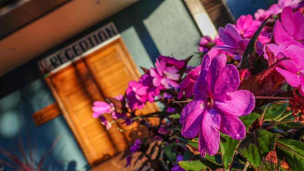 Blue Summit Hideaway Ξενοδοχείο Yungaburra Εξωτερικό φωτογραφία